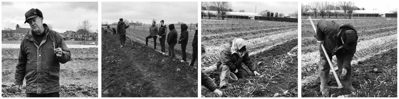 7BG&E bij hopscheutenteler Paul Temmerman