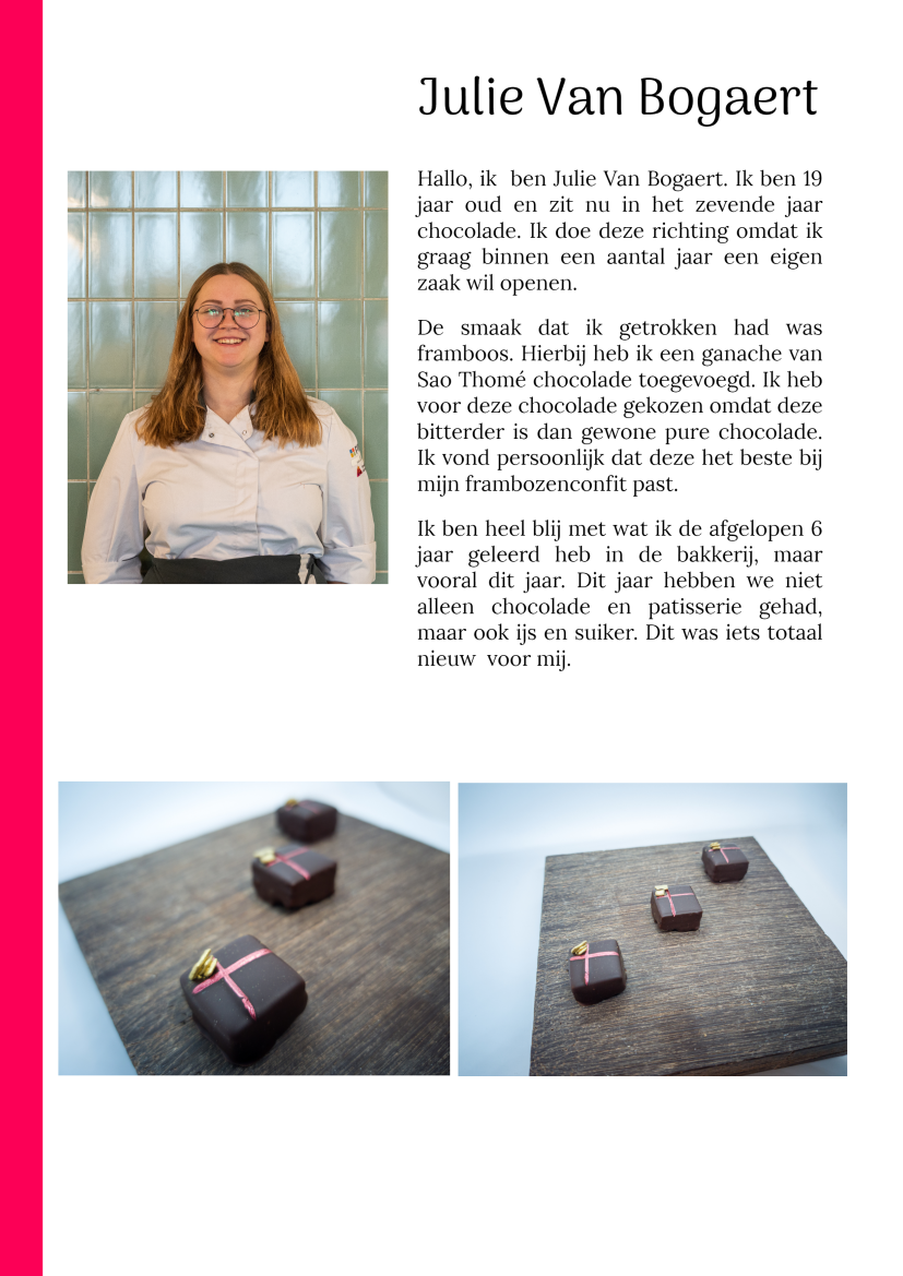 Klas van 2020 Julie Van Bogaert 7BBb